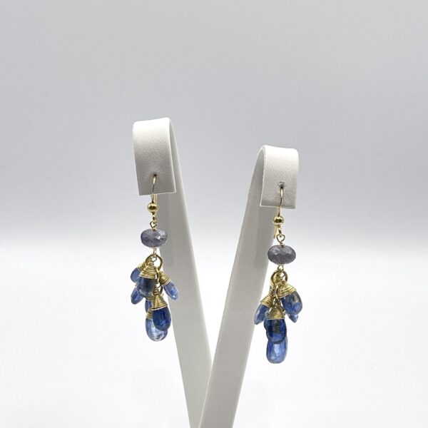 Kyanite Drops Earrings Medium